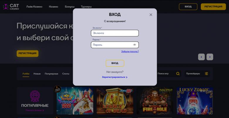 Вход и верификация